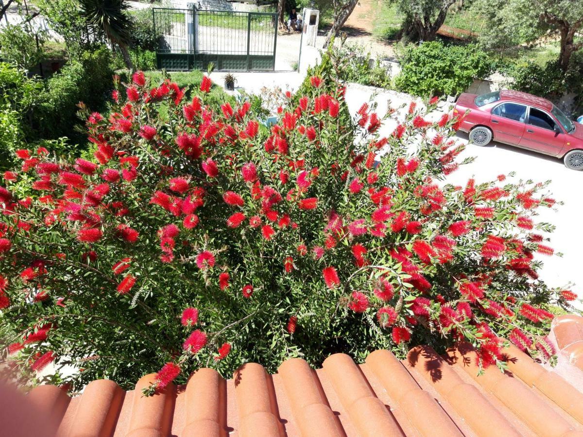 Vila Zogaj Ksamil Exterior photo